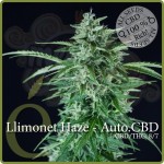 ELITE SEEDS - Llimonet Haze Auto CBD