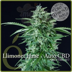 ELITE SEEDS - Llimonet Haze Auto CBD