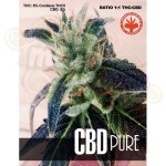 PURE SEEDS - CBD Pure