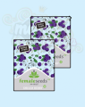 FEMALE SEEDS - Dream Berry