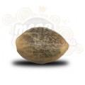 ROYAL QUEEN SEEDS - Amnesia Haze®