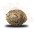 ROYAL QUEEN SEEDS - Fruit Spirit®
