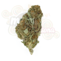 ROYAL QUEEN SEEDS - Chocolate Haze