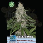 KERA SEEDS - Kera Matic