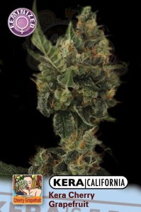 KERA SEEDS - Cherry Grapefruit