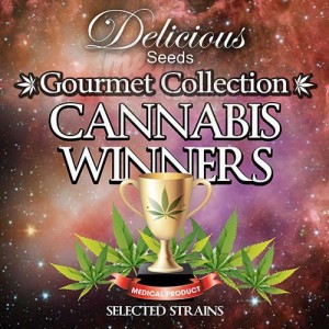 DELICIOUS SEEDS - Gourmet Collection Cannabis Winners 2