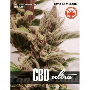 PURE SEEDS - CBD Ultra