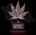 DINAFEM - OG Kush CBD