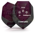 ROYAL QUEEN SEEDS - Feminizowany Mix