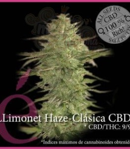 ELITE SEEDS - Llimonet Haze Clásica CBD