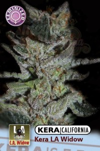 KERA SEEDS - La Widow