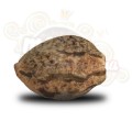 ROYAL QUEEN SEEDS - Quick One Automatic