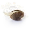 ROYAL QUEEN SEEDS - Amnesia Haze®