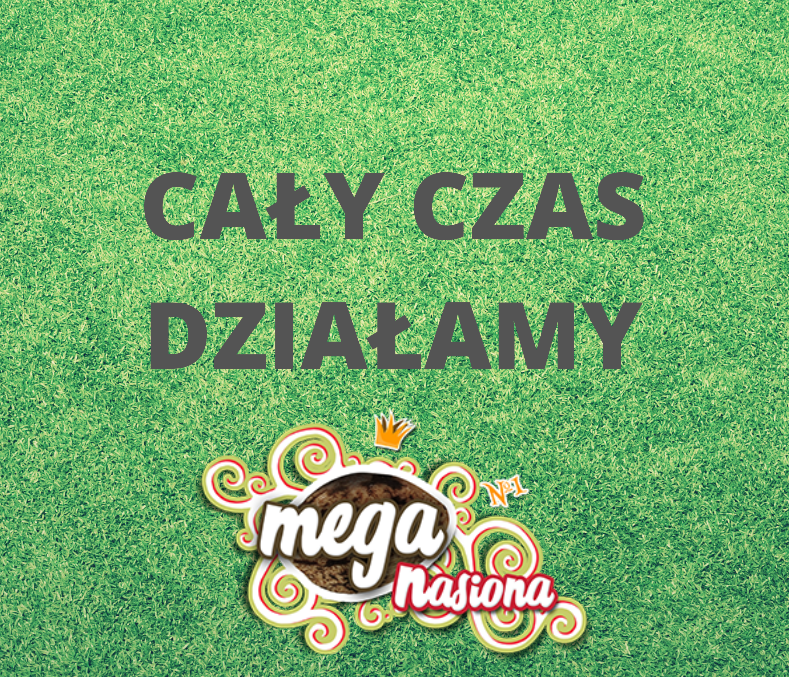 Nieprzerwanie oferujemy Wam najlepsze szczepy!