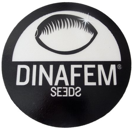 Dinafem - co się stało?