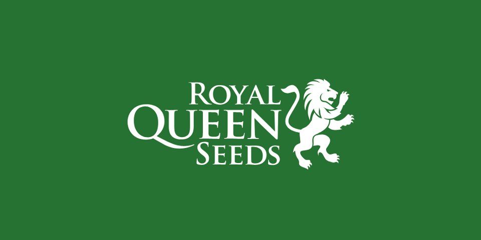 Pięć najlepszych odmian cannabis do uprawy indoor w 2021 roku od Royal Queen Seeds