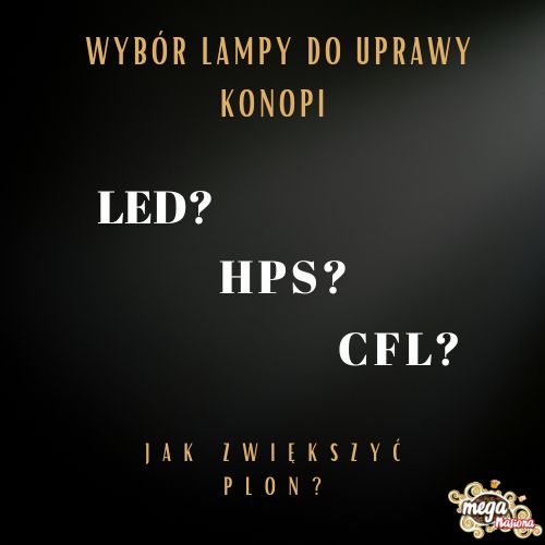 Jak zwiększyć plon? Wybór lampy do uprawy konopi (część pierwsza)