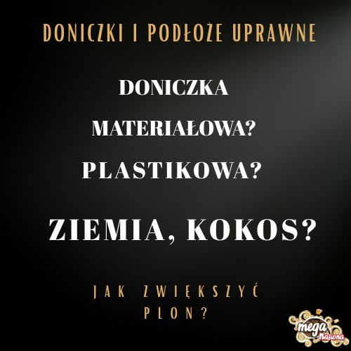 Jak zwiększyć plon? doniczki i podłoże uprawne