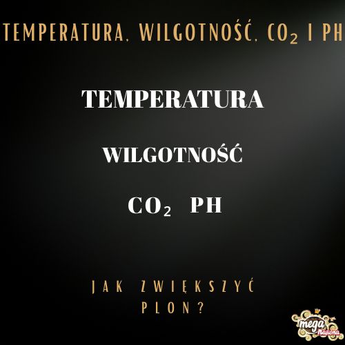 Jak zwiększyć plon? Temperatura, wilgotność, CO₂ i pH (część czwarta)