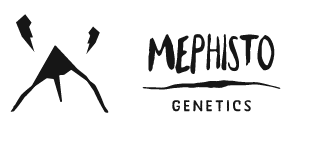 Mephisto Genetics