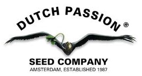 Dutch Passion