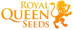 Royal Queen Seeds