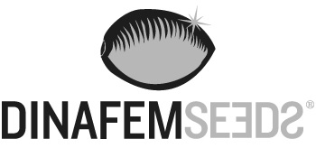 Dinafem Seeds