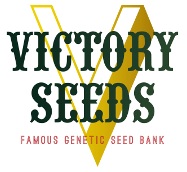 Victory Seeds